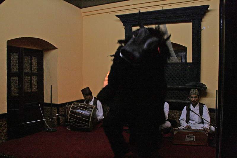 India & Nepal 2011 - 0334